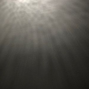 Meet your Posher, Sofia